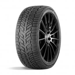 Doublestar Winterking DW08 165/65R14 79T